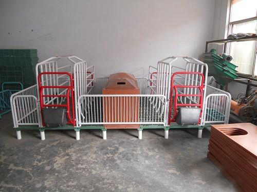 母猪双体产床