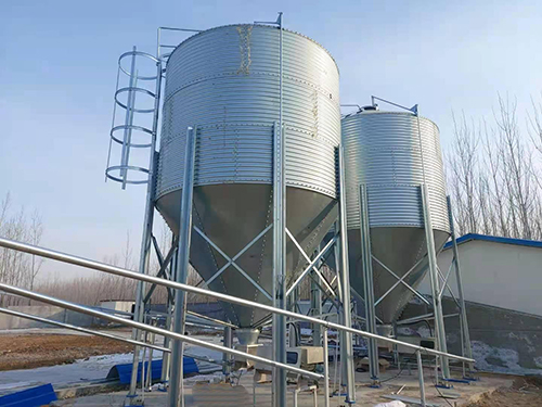 养猪场安装自动化上料系统自动化喂猪料线的好处及其工作流程